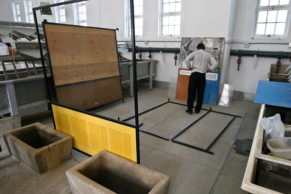 Crecimiento del proyecto Aqua Vida